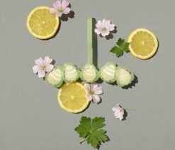 Marcel's Green Soap Toiletblok Geranium & Citroen - 55 Gram -Huishoudelijke Benodigdheden Winkel 1200x1023 2