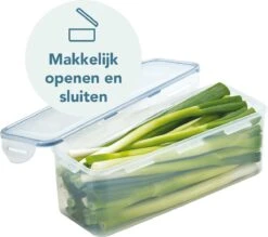 Lock&Lock Vershouddoos - Bewaardoos Met Deksel - Voor Ontbijtkoek Peperkoek En Cake - Cakedoos - 100% Luchtdicht - 3,4 Liter -Huishoudelijke Benodigdheden Winkel 1200x1063 2
