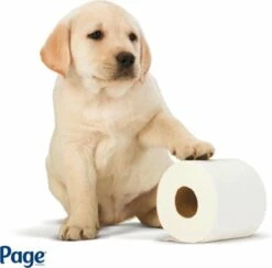 Page Toiletpapier - Eco - Duurzaam - 24 Rollen - Voordeelverpakking -Huishoudelijke Benodigdheden Winkel 1200x1186 7