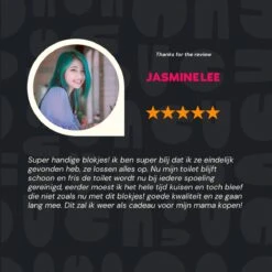 Merkloos Toiletblokjes Voor Inbouwreservoirs – WC-blokjes – Toiletblokken In Een Voordeelverpakking – 30 Stuks -Huishoudelijke Benodigdheden Winkel 1200x1200 1501