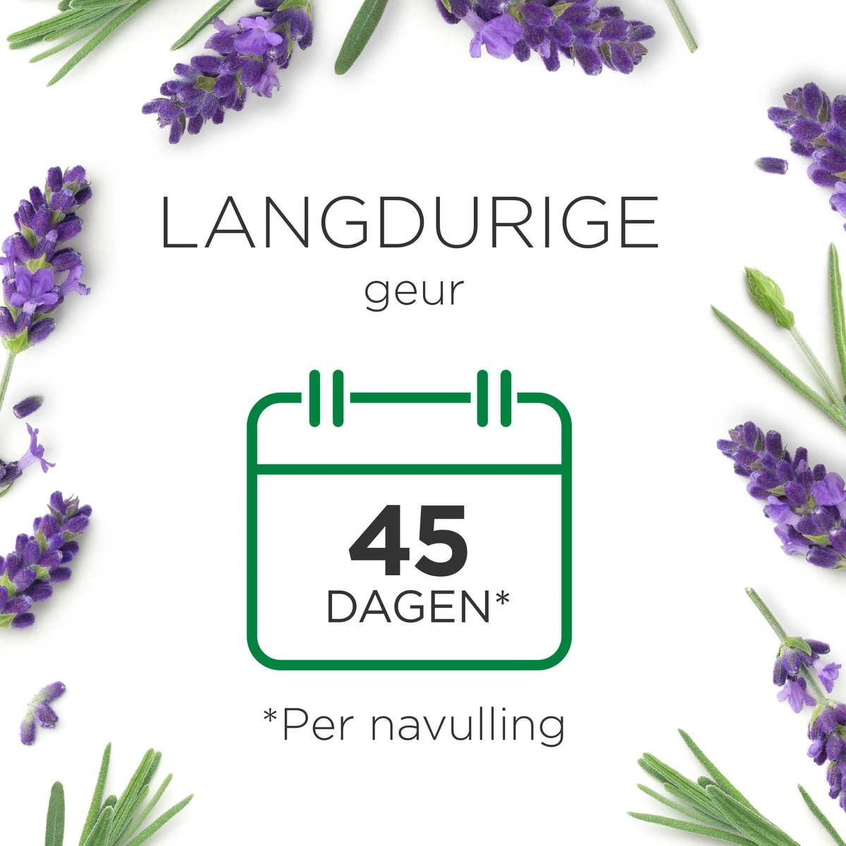 Air Wick Essential Mist Luchtverfrisser - Ontspannende Lavendel - 1 Zwart Apparaat + 2 Navullingen 8 Air Wick Essential Mist Luchtverfrisser - Ontspannende Lavendel - 1 Zwart Apparaat + 2 Navullingen - Afbeelding 8
