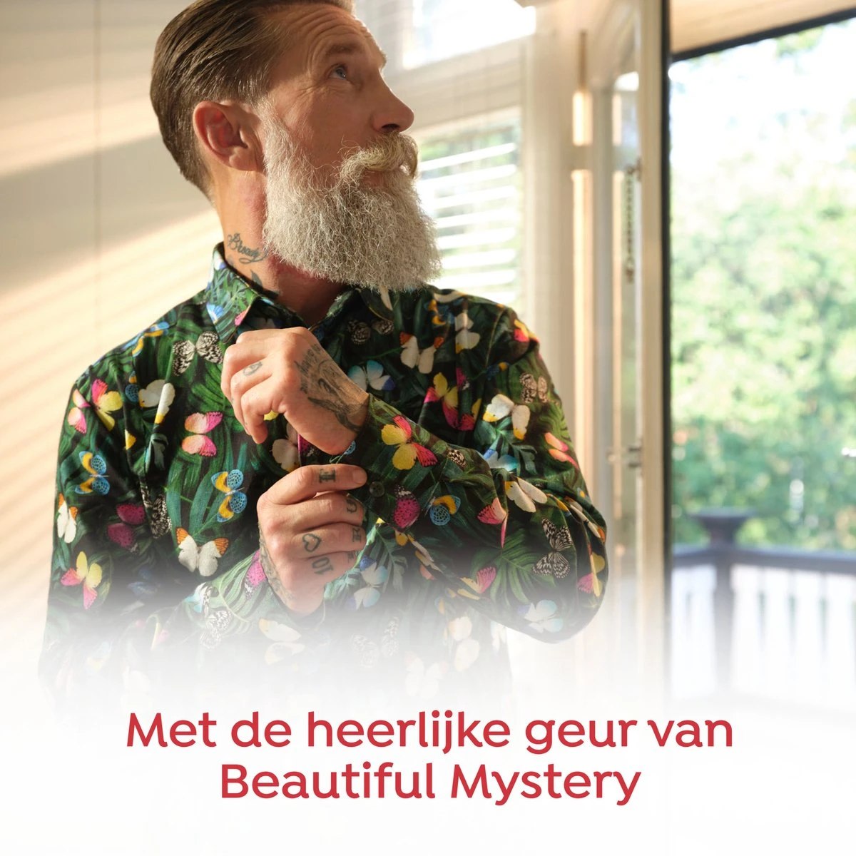 Robijn Collections Beautiful Mystery Wasverzachter - 8 X 33 Wasbeurten - Voordeelverpakking 7 Robijn Collections Beautiful Mystery Wasverzachter - 8 X 33 Wasbeurten - Voordeelverpakking - Afbeelding 7