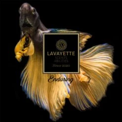 Lavayette Premium Wasparfum 2in1 - Double Fun & Jasmine Shades - Geurbooster -Huishoudelijke Benodigdheden Winkel 1200x1200 341