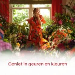 Robijn Color & Passiebloem Wasmiddel En Wasverzachter Pakket - 5 Stuks - Voordeelpakket -Huishoudelijke Benodigdheden Winkel 1200x1200 55