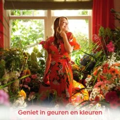 Robijn Klein & Krachtig Color Vloeibaar Wasmiddel - 8 X 20 Wasbeurten - Voordeelverpakking -Huishoudelijke Benodigdheden Winkel 1200x1200 57